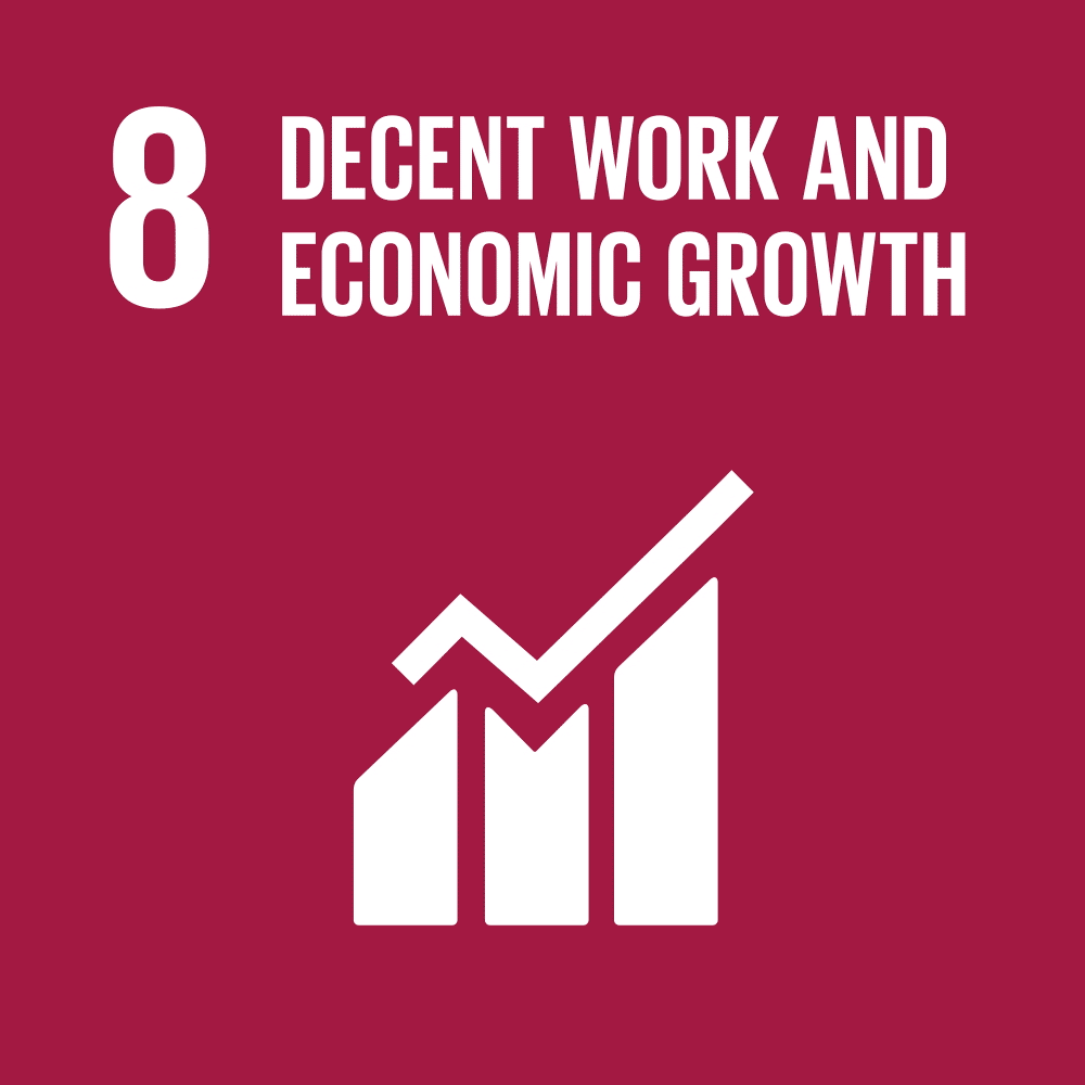 SDG 8