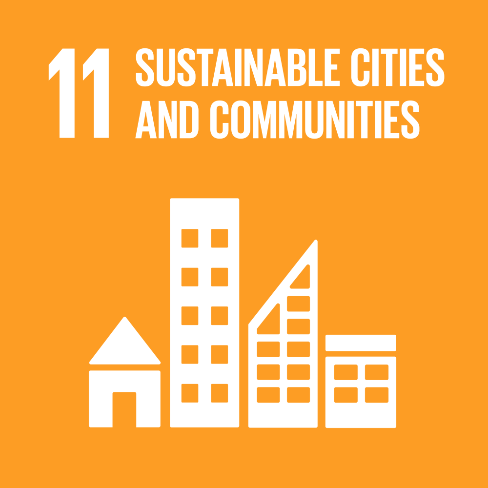 SDG 11