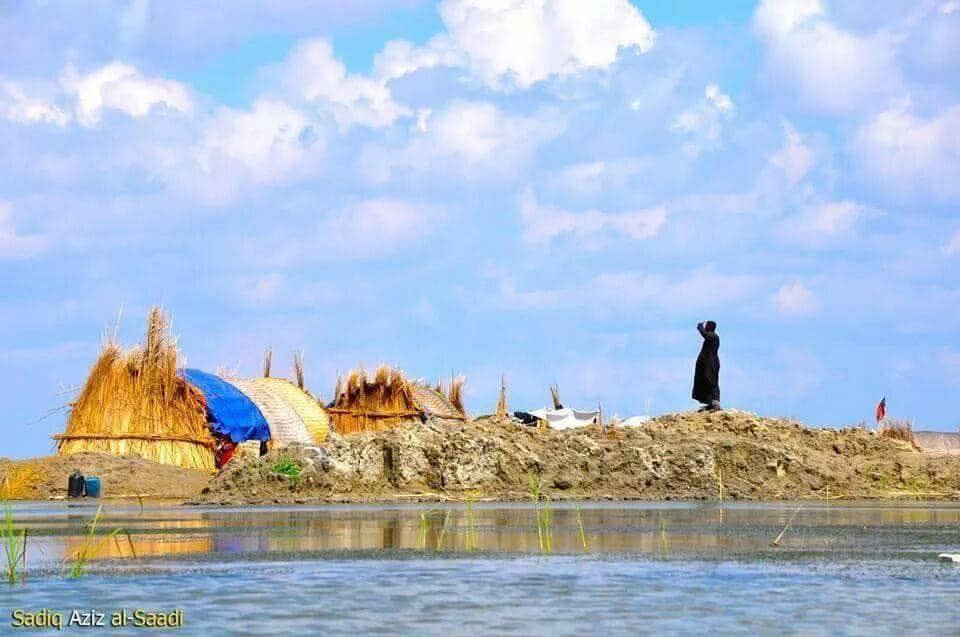 Wetlands: The Lifeblood and Future of Sustainability